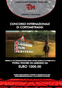 Concorso Internazione di Cortometraggi NFF 2012