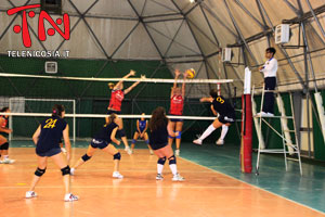 Volley, in Coppa Sicilia NAF Nicosia – Volley 96 2-3