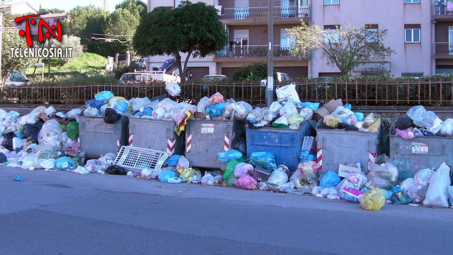 Nicosia. I provvedimenti previsti dall'ordinanza 49/2014 a fronte dell'emergenza igienico sanitaria