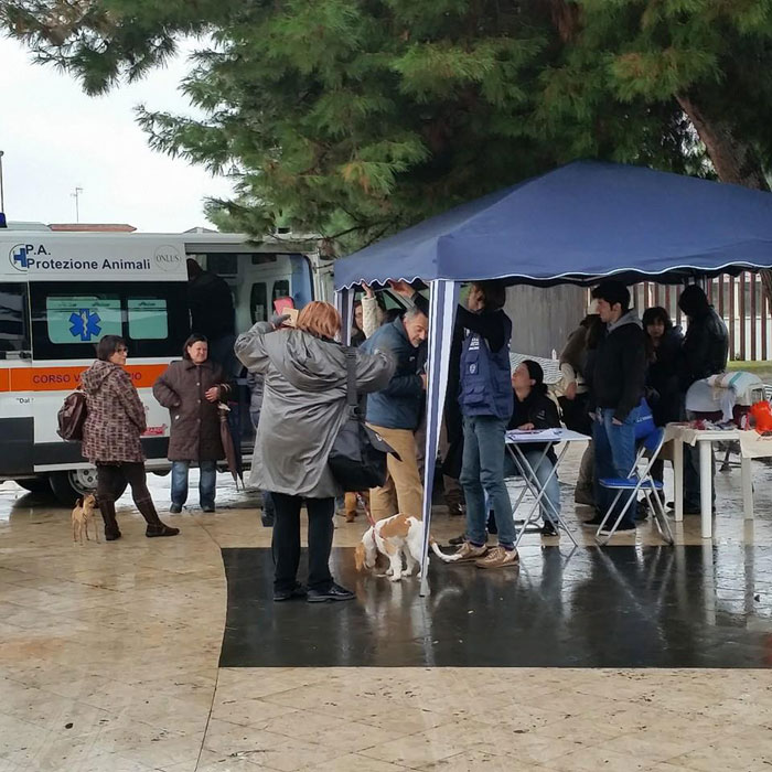 Catania: Microchips gratuiti per gli amici a 4 zampe