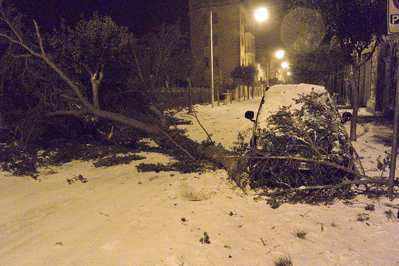 Tempesta di neve. Danni a Nicosia e dintorni