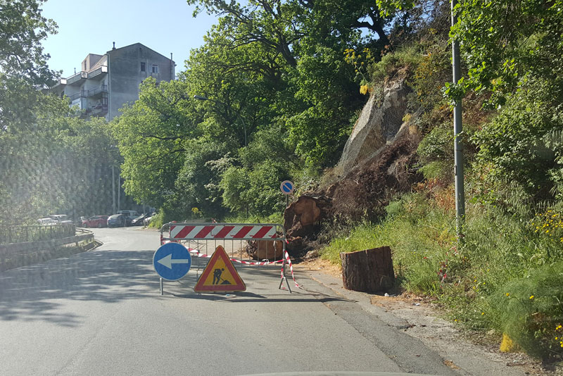 Nicosia, non è stato ancora rimosso il tronco d’albero in via Nazionale