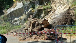 Nicosia, non è stato ancora rimosso il tronco d’albero in via Nazionale