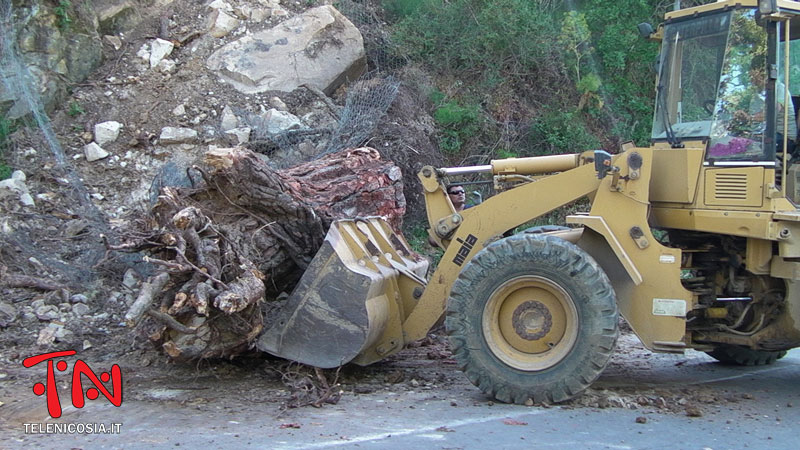 Nicosia, rimosso il tronco d’albero in via Nazionale