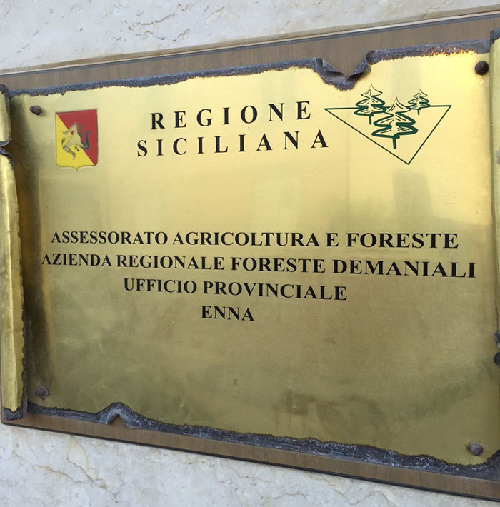 Guardia di Finanza: due funzionari del Dipartimento Regionale Azienda Foreste Demaniali di Enna indagati per tangenti