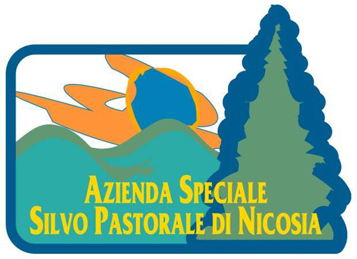 Nicosia, l’arch. Vincenzo Falsone presidente dell’Azienda Speciale Silvo Pastorale