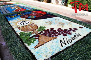 Nicosia in fiore 2015