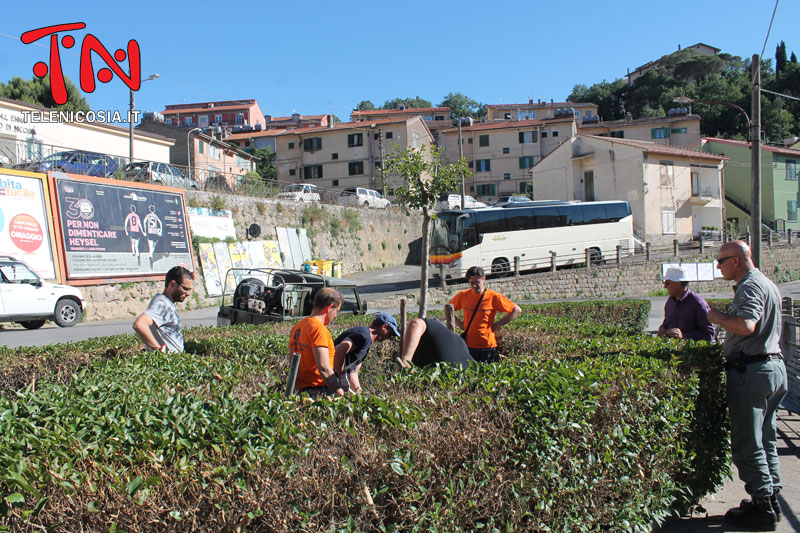 Nicosia, piantato un altro alberello nella villetta di via Nazionale