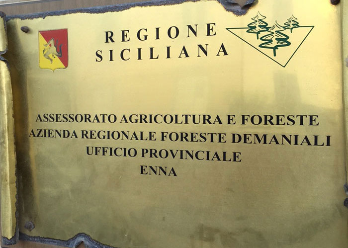 Cerami, denunciato un dipendente regionale per assenteismo