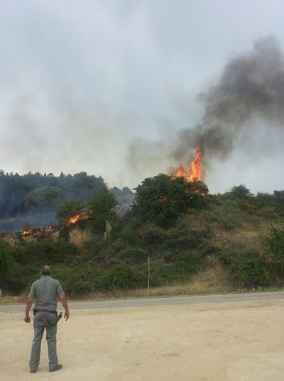 Nicosia, incendio devastante al Campanito