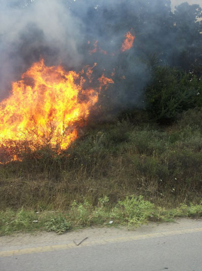 Nicosia, incendio devastante al Campanito