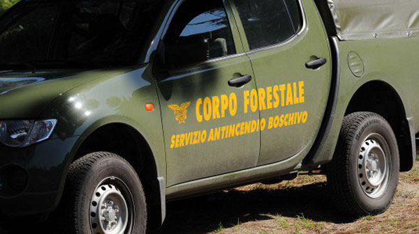 La Forestale di Enna ha denunciato il presunto responsabile di un incendio