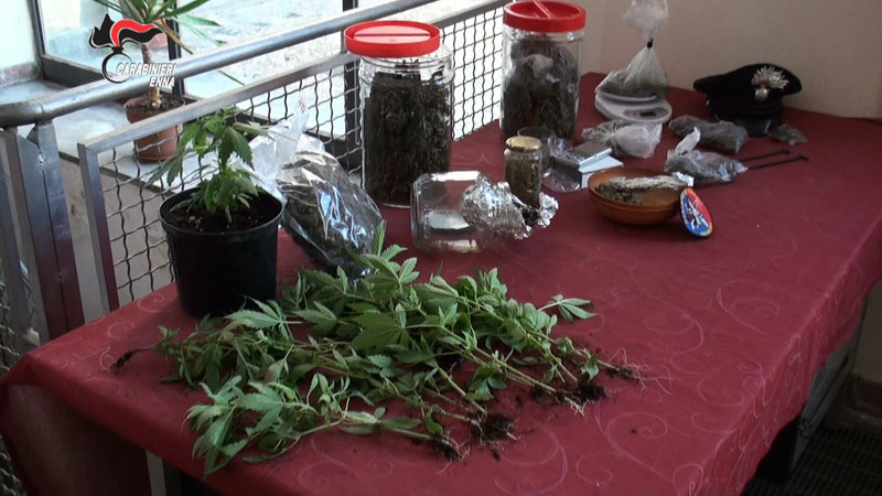 Regalbuto, arrestato un uomo trovato in possesso di 2 kg di marijuana