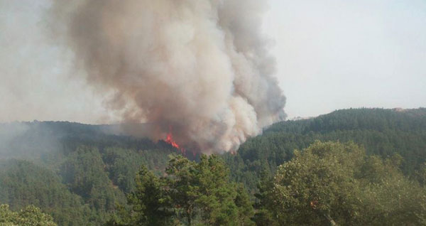 Villarosa, arrestato un pastore accusato di incendio boschivo