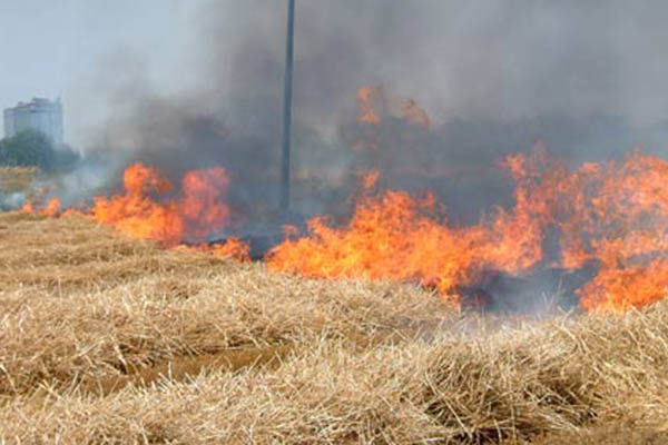 Gangi, firmata ordinanza pulizia terreni per prevenzione incendi