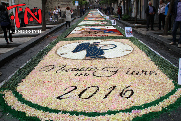 Grande partecipazione per la XXII edizione di ‘’Nicosia in fiore’’