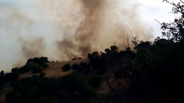 Nicosia, il grande apporto dei volontari per domare gli incendi