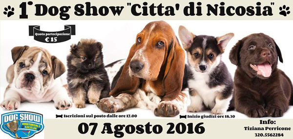 Nicosia, domenica 7 agosto la prima edizione del Dog Show