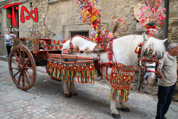 Celebrato a Nicosia il dolce tipico con la seconda sagra del nocattolo