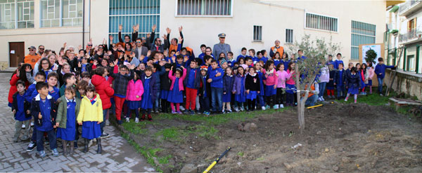 Nicosia, le scuole coinvolte nella ‘’Festa degli Alberi’’