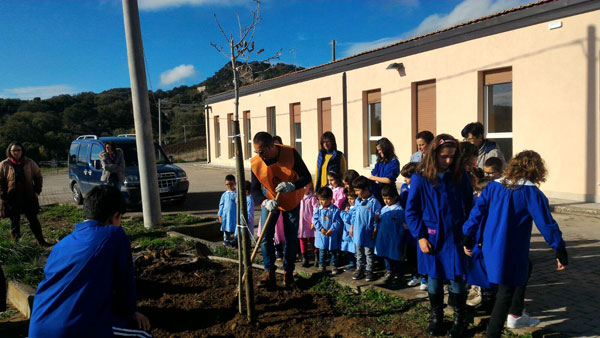 Nicosia, le scuole coinvolte nella ‘’Festa degli Alberi’’