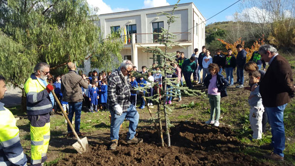 Nicosia, le scuole coinvolte nella ‘’Festa degli Alberi’’