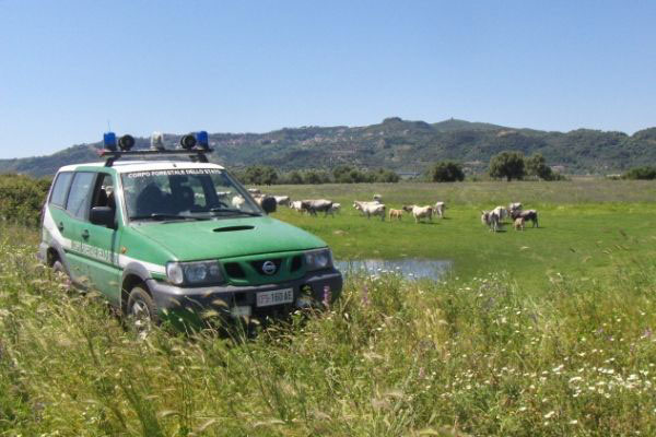 NOperazione congiunta di Carabinieri, Corpo Forestale e Guardia di Finanza, sequestrati 500mila euro a tre capitini ed applicate due misure cautelari