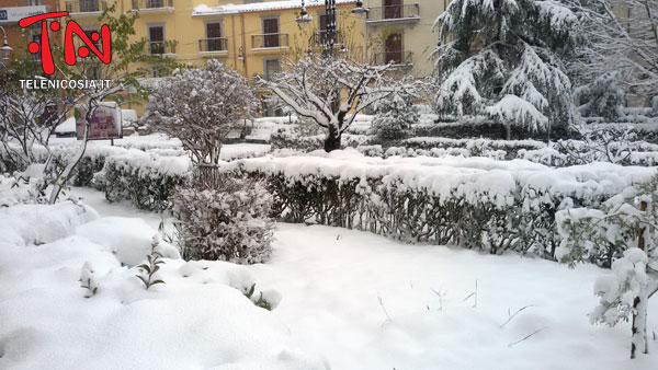 Neve a Nicosia