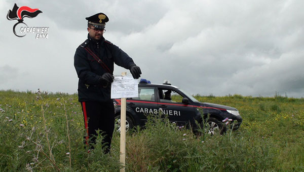 Operazione a Regalbuto dei carabinieri di Nicosia, sequestrati quattro terreni ad imprenditore vicino a Cosa Nostra