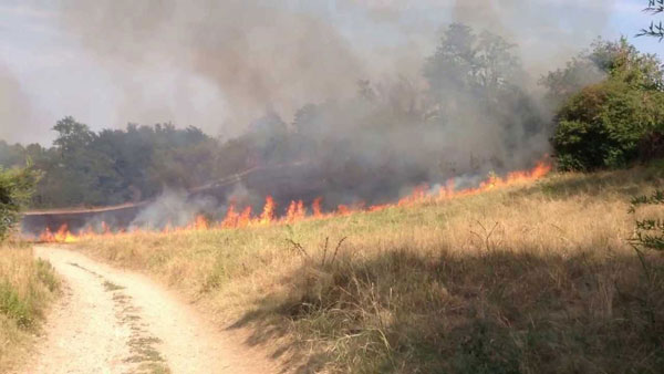 Nicosia, emessa ordinanza per la prevenzione degli incendi