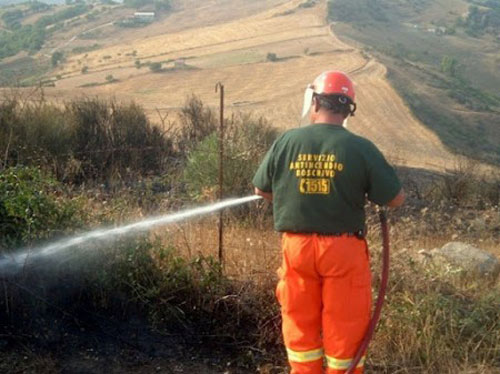 Da martedì 13 giugno chiamata per 490 lavoratori forestali di Enna, Nicosia e Piazza Armerina