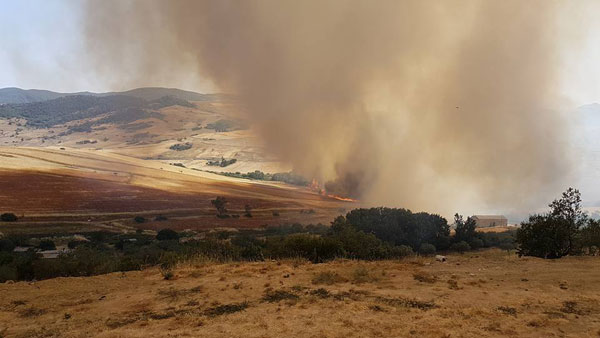 Incendi in contrada Ciliesa e Vaccarra a Nicosia