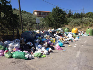 Nicosia, sporcizia e pulci un biglietto da visita vergognoso