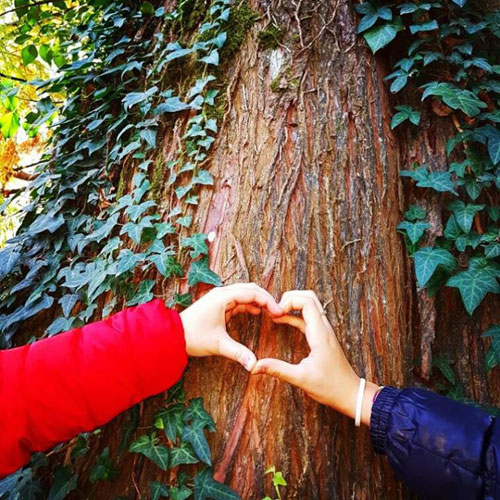 Troina, il 21 novembre si celebra la ‘’Festa dell’albero 2017’’