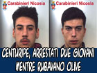 Centuripe, arrestati due giovani mentre rubavano mezzo quintale di olive