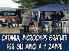 Catania: Microchips gratuiti per gli amici a 4 zampe