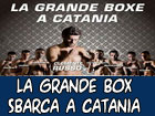 La grande box sbarca a Catania