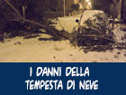 Tempesta di neve. Danni a Nicosia e dintorni 