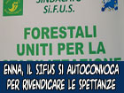 Enna, il Si.F.U.S. protesta per rivendicare le quattro mensilità non pagate