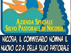 Nicosia, il commissario Rizza nomina la commissione amministratrice della silvo-pastorale