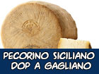 Pecorino Siciliano DOP a Gagliano