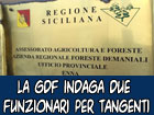 Guardia di Finanza: due funzionari del Dipartimento Regionale Azienda Foreste Demaniali di Enna indagati per tangenti