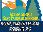 Nicosia, l’arch. Vincenzo Falsone presidente dell’Azienda Speciale Silvo Pastorale