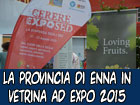 La provincia di Enna in vetrina ad Expo 2015