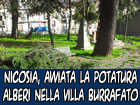 Nicosia, cominciati i lavori di potatura degli alberi di villa Burrafato