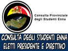 Consulta Provinciale degli Studenti Enna, eletto presidente e direttivo