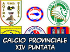 Calcio Provinciale - XIV puntata