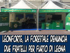 Leonforte, il Corpo Forestale denuncia due fratelli per furto di legna