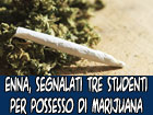 Enna, studenti universitari trovati in possesso di marijuana