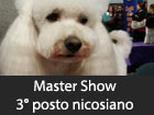 Master show, 9° edizione. Una nicosiana si classificata al terzo posto sul podio